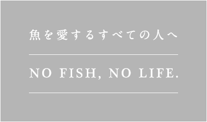 味と盛り付けで楽しむ 旬の魚を使った創作料理 NO FISH, NO LIFE.